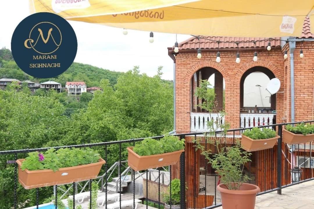 Guest House Marani 시그나기 외부 사진